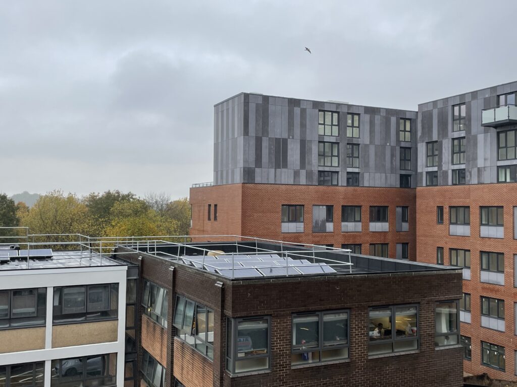 Basildon Police Station